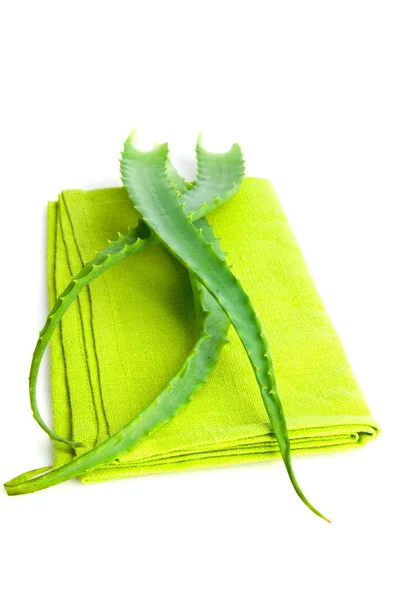 Aloe vera bylinný lék — Stock fotografie