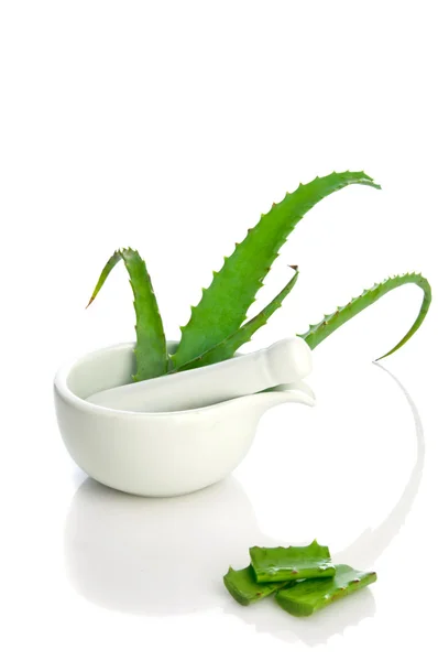 Aloe vera bitkisel ilaç — Stok fotoğraf
