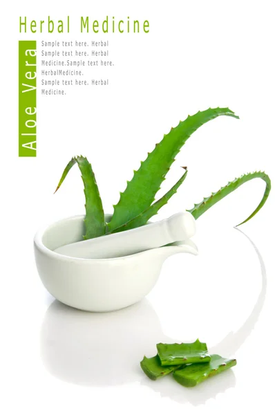 Aloe vera fitoterapia — Foto Stock