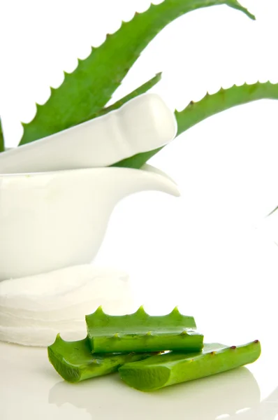 Aloe vera φυτικό φάρμακο — Φωτογραφία Αρχείου