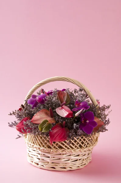 Bouquet d'anthurium — Photo