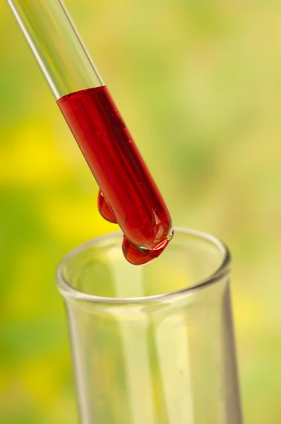 Conta-gotas de medicamentos com gota de sangue — Fotografia de Stock