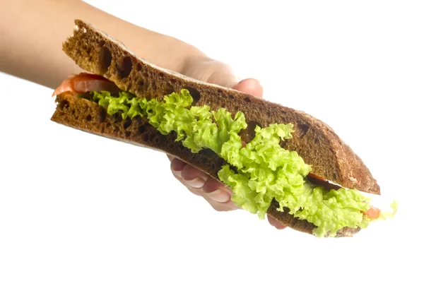 長いバゲット サンドイッチ — ストック写真