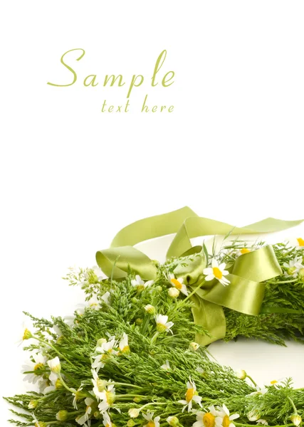Wreath From Camomile isolated on white — Stock Photo, Image
