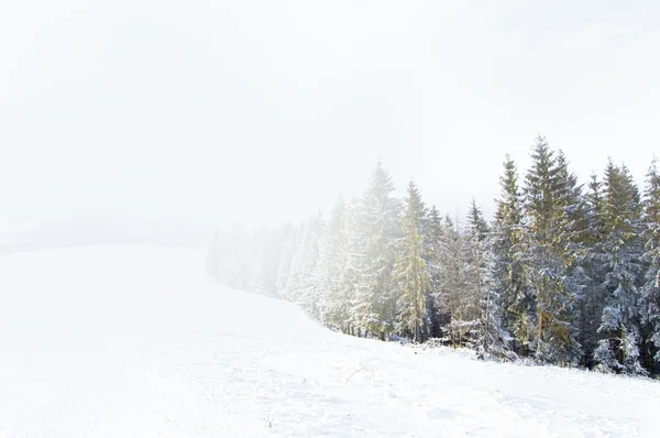 Paisaje invierno — Foto de stock gratis