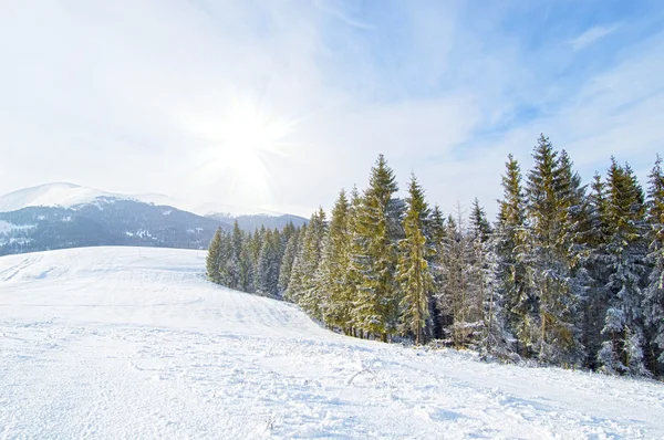 Зимовий пейзаж — Безкоштовне стокове фото