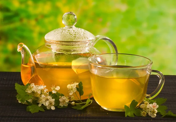 Kräutermedizin, Tee mit Weißdornblüte — Stockfoto