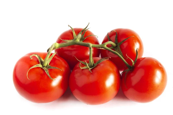 Rama de tomates rojos frescos en blanco aislado —  Fotos de Stock