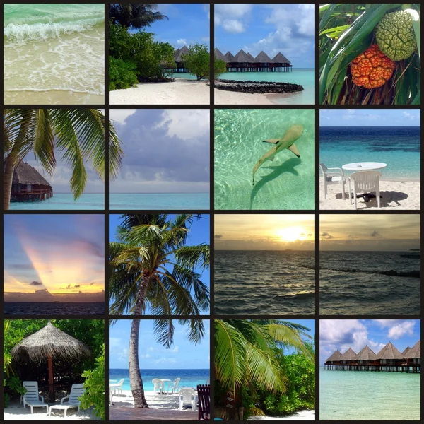 Maldives ensemble — Photo