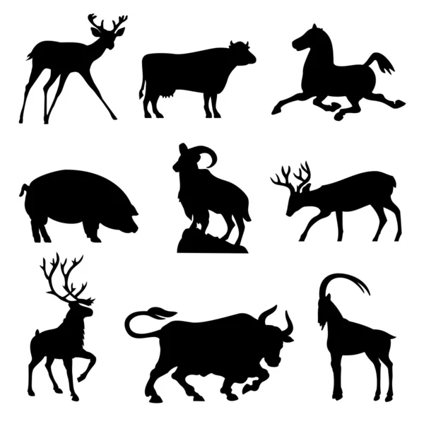 Stock vector Ungulates animals