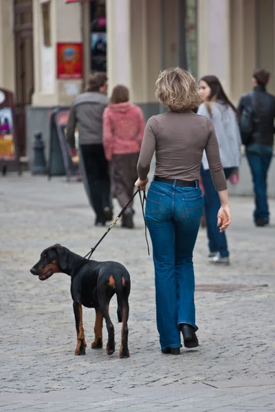 La giovane donna con un cane su una scala — Foto Stock