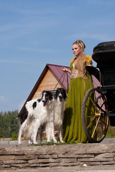 Η γυναίκα σε ένα όμορφο παλιό στυλ φόρεμα με borzoi σκυλιά — Φωτογραφία Αρχείου