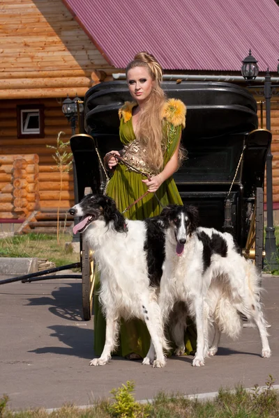La mujer en un hermoso vestido de estilo antiguo con perros borzoi —  Fotos de Stock