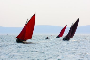 Galway hookers at Ocean race clipart