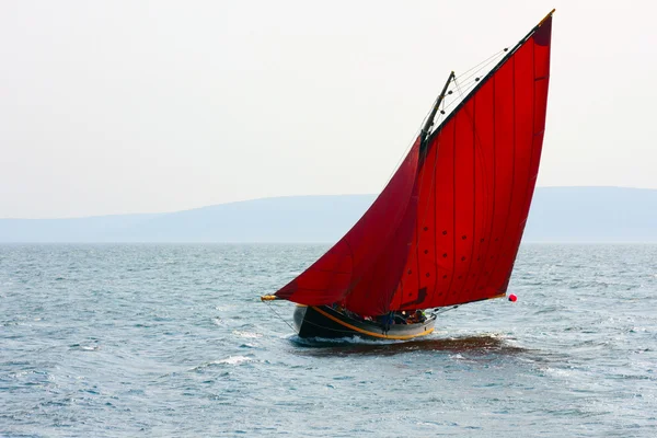 Galway hooker båt vid ocean race — Stockfoto
