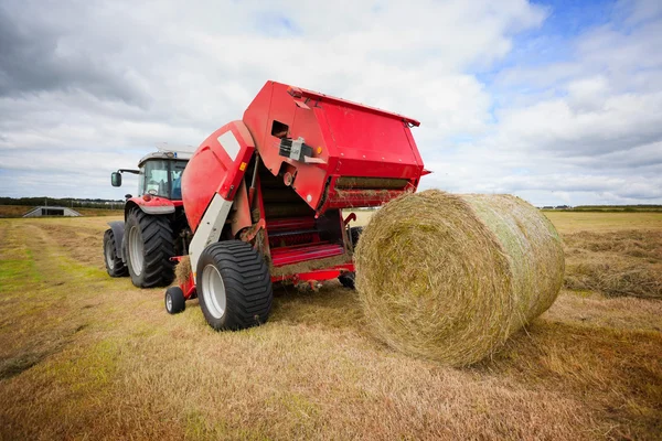 Traktor sammelt Heuhaufen auf dem Feld — Stockfoto