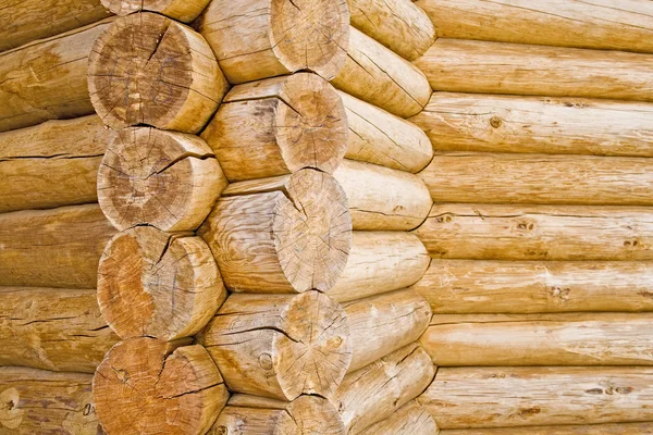 Wooden log texture — Stock Photo, Image