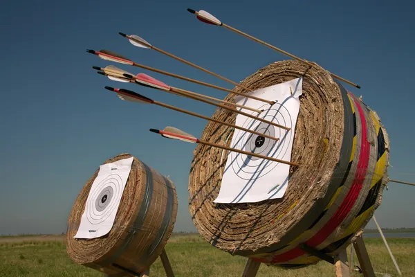 Training in archery on open air. Royalty Free Stock Images