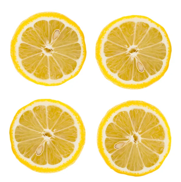 Citric cross section with seed — Stock Photo, Image