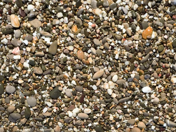 Гальковий пляж — стокове фото