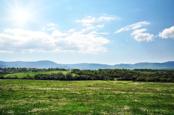 stock image Bright Field