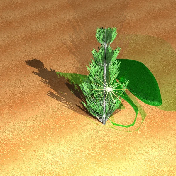 Vegetatie in woestijn — Stockfoto