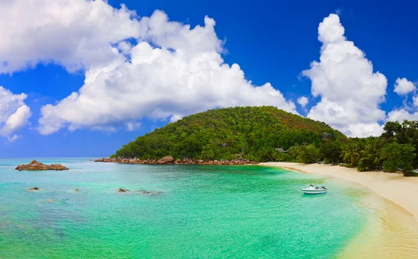 Tropisk strand ved Seychellene – stockfoto