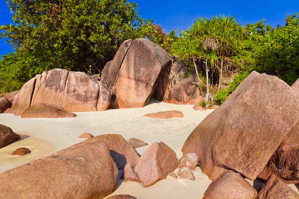 Strand anse lazio auf den Seychellen — Stockfoto
