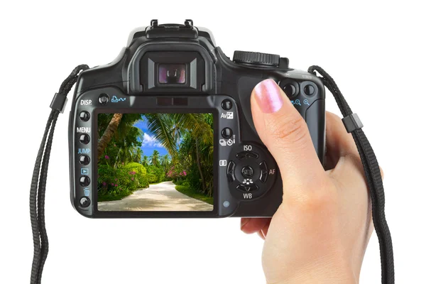 手とビーチの風景のカメラ — ストック写真