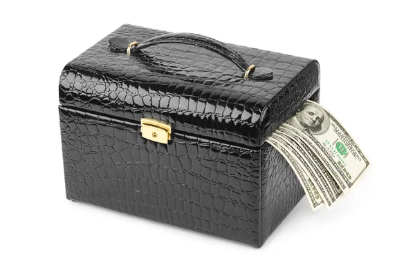 Money in case — Stock Photo, Image