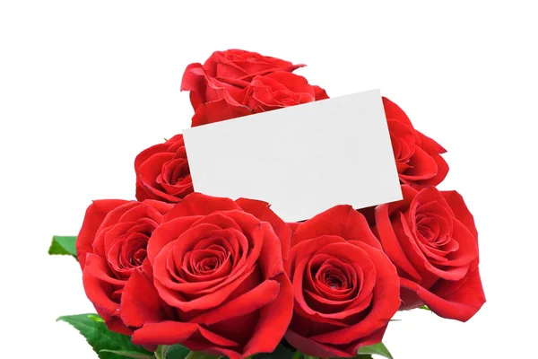 纸卡和玫瑰 — 图库照片