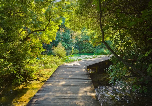 Pathway in KRKA park at Croatia — Stock Photo, Image