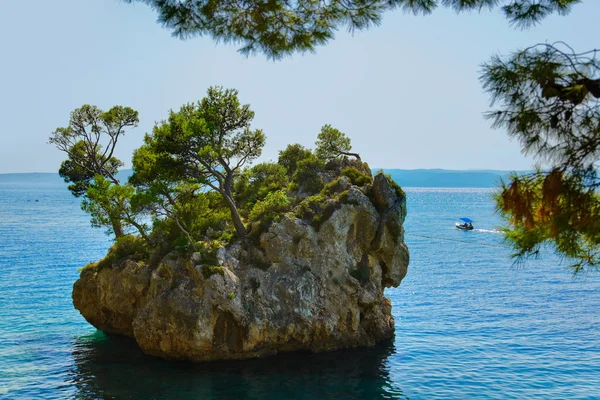 Island and trees in Brela, Croatia — Stock Photo, Image