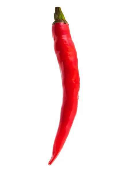 Красный острый перец чили — стоковое фото