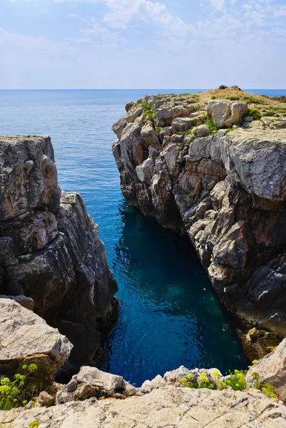 クロアチアでの岩の海岸線 — ストック写真
