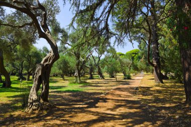 Hırvatistan Park yolu