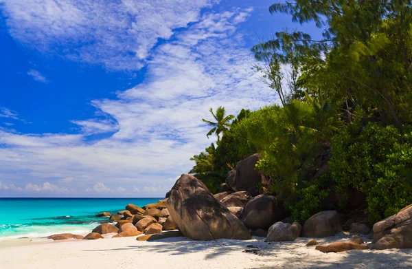 Spiaggia tropicale sull'isola di Praslin, Seychelles — Foto Stock
