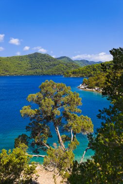 Lake at island Mljet in Croatia clipart