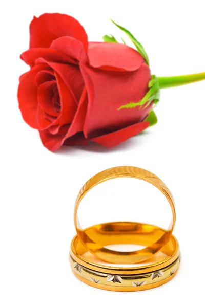 Rose and wedding rings — Stock Photo, Image