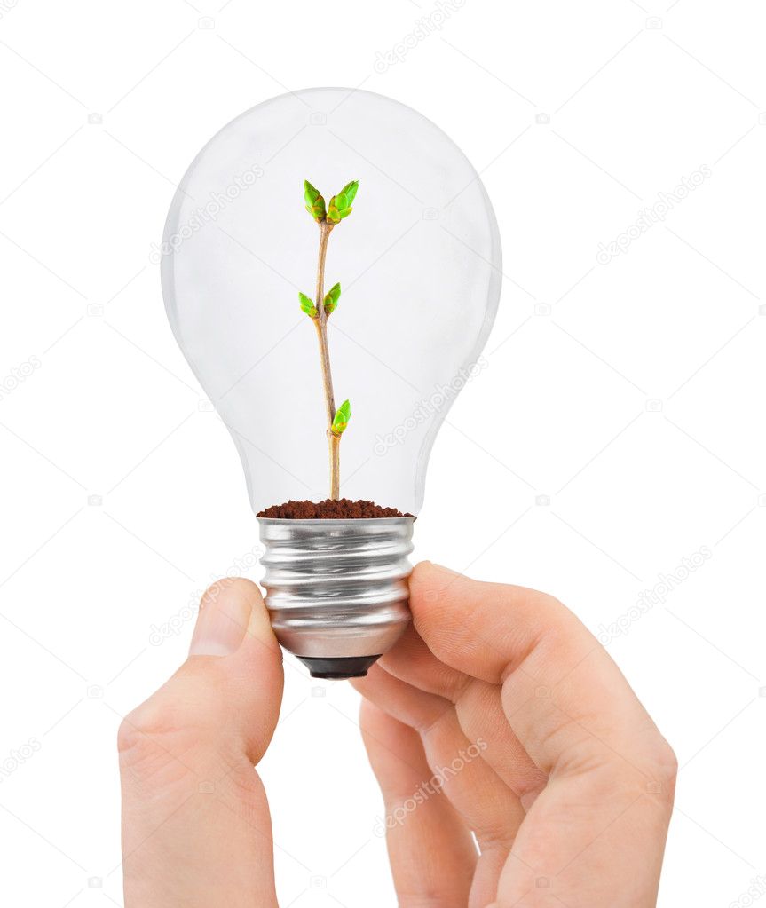 Hand with bulb and plant