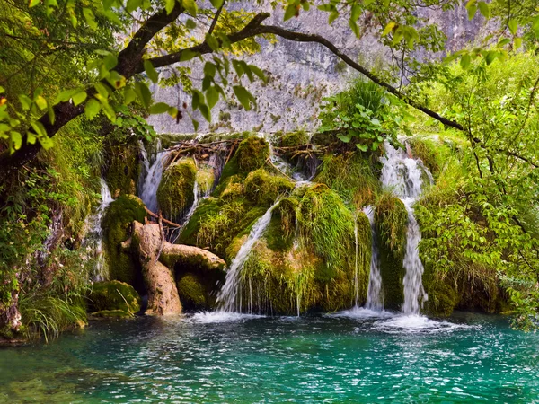 Plitvicei-tavak, Horvátország — Stock Fotó