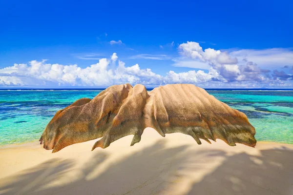 Stone on tropical beach — Stock Photo, Image