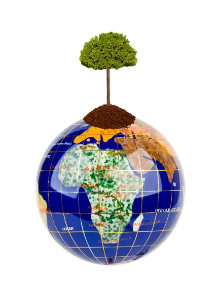 Globe and tree — Stock Photo, Image