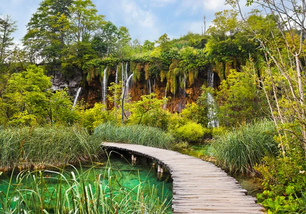 Pathway in Plitvice lakes park at Croatia — Stock Photo, Image