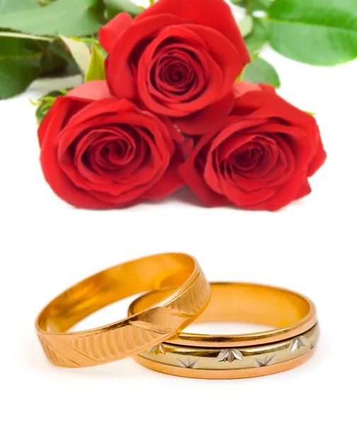 Roses and wedding rings — Stock Photo, Image