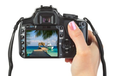 Camera in hand and beach landscape clipart