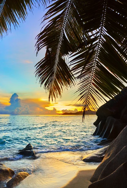 Tropisk strand vid solnedgången — Stockfoto
