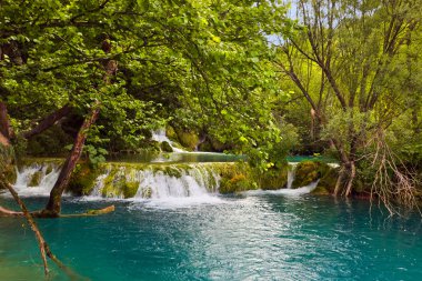 Plitvice lakes in Croatia clipart