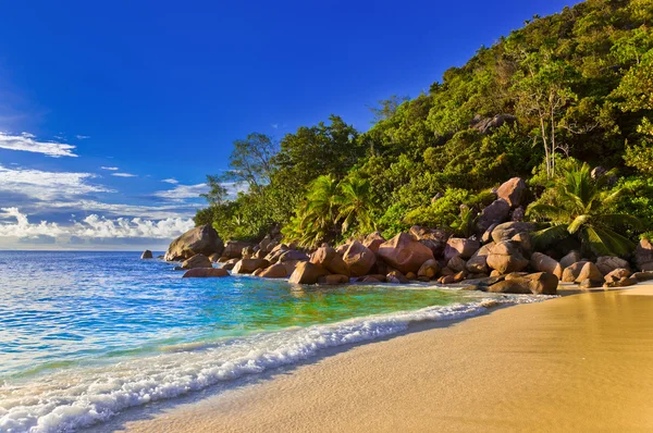Tropical beach at evening — Stock Photo, Image