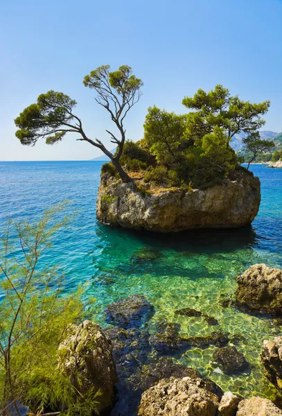 Wyspa i drzew w brela, Chorwacja — Zdjęcie stockowe